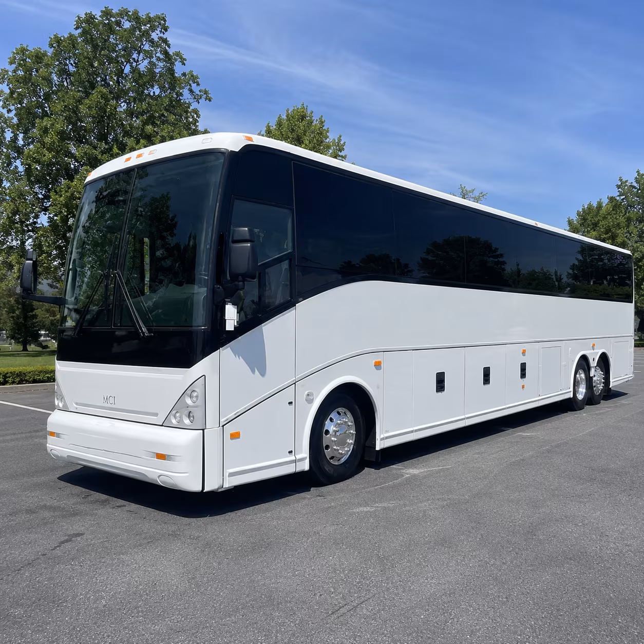 one search for your laguna niguel group trip